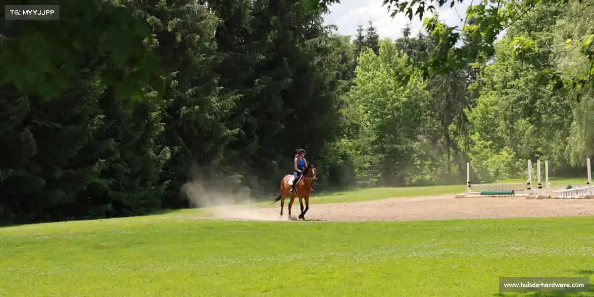 milan米兰🏃♂️运动不止，热血不息 —— 你的主场，由你定义！